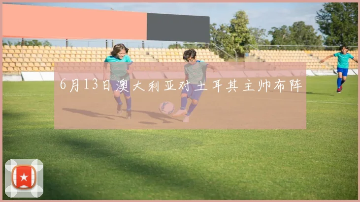 6月13日澳大利亚对土耳其主帅布阵
