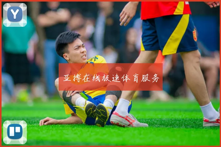 亚搏在线极速体育服务