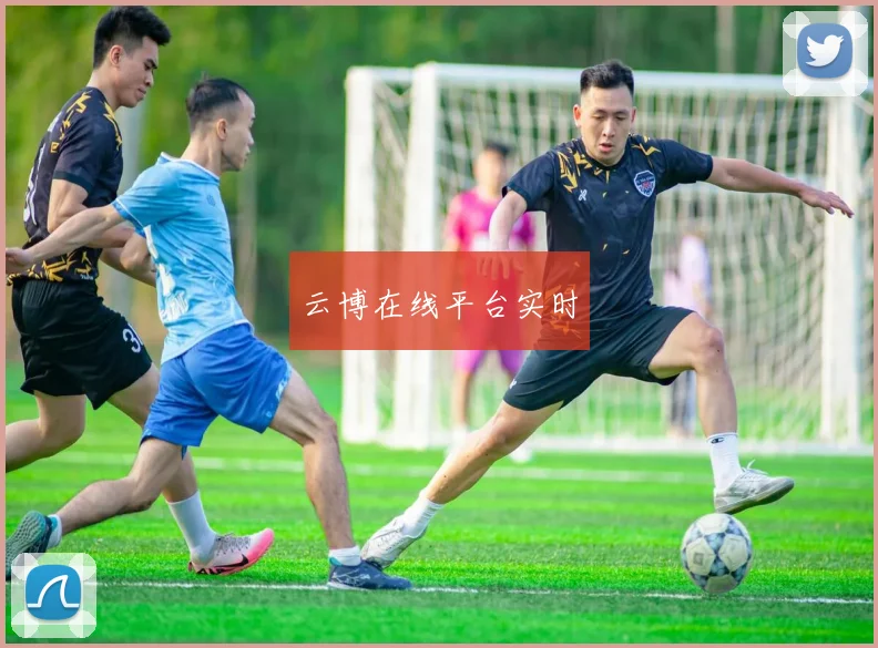 云博在线平台实时