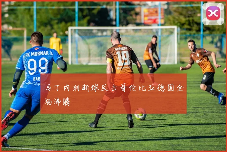 马丁内利断球反击哥伦比亚德国全场沸腾
