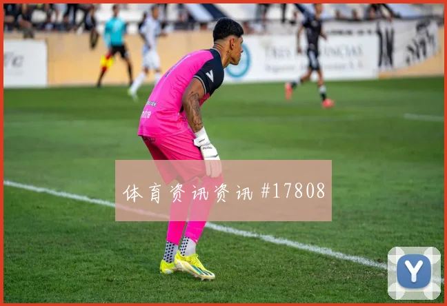 2026世界杯新西兰世界杯搜索热词