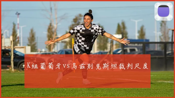 K组葡萄牙vs乌兹别克斯坦裁判尺度