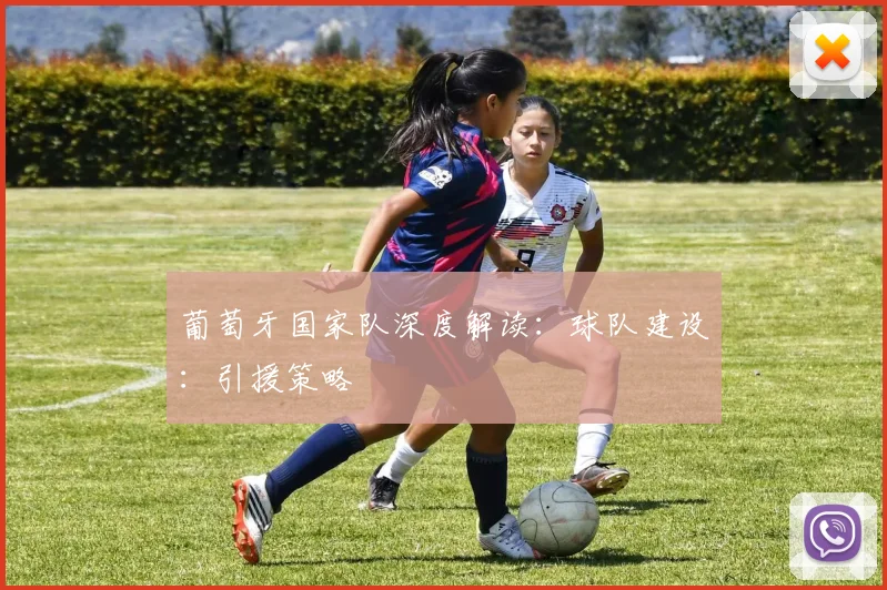 葡萄牙国家队深度解读:球队建设:引援策略