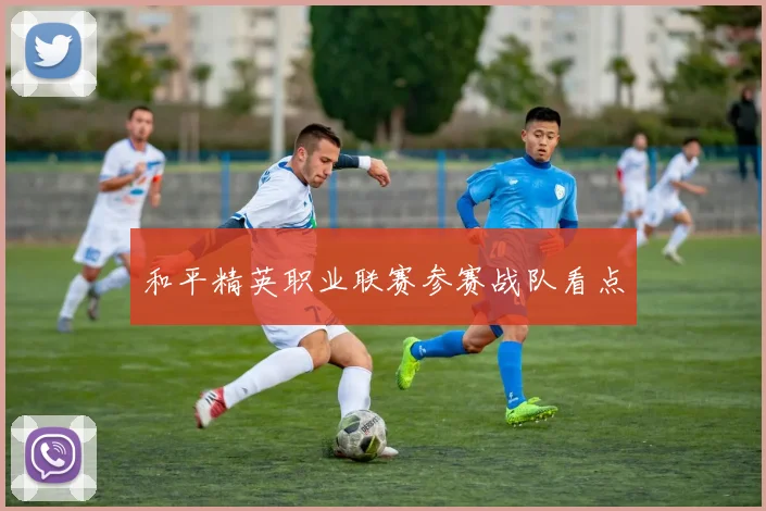 和平精英职业联赛参赛战队看点