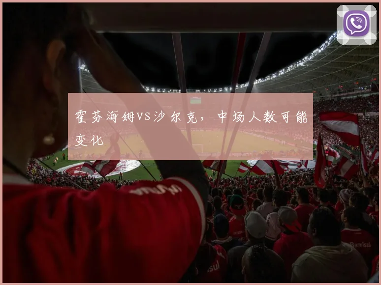 霍芬海姆vs沙尔克，中场人数可能变化